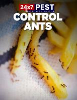 Ant Control Perth image 2